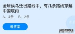全球候鸟迁徙路线中有几条路线穿越中国境内？